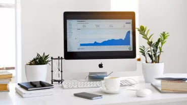 Pantalla de computadora con gráfico y plantas en escritorio.