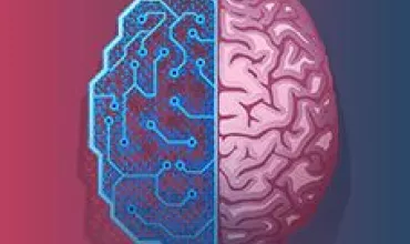 Mitad del cerebro humano y mitad digital, ilustración.