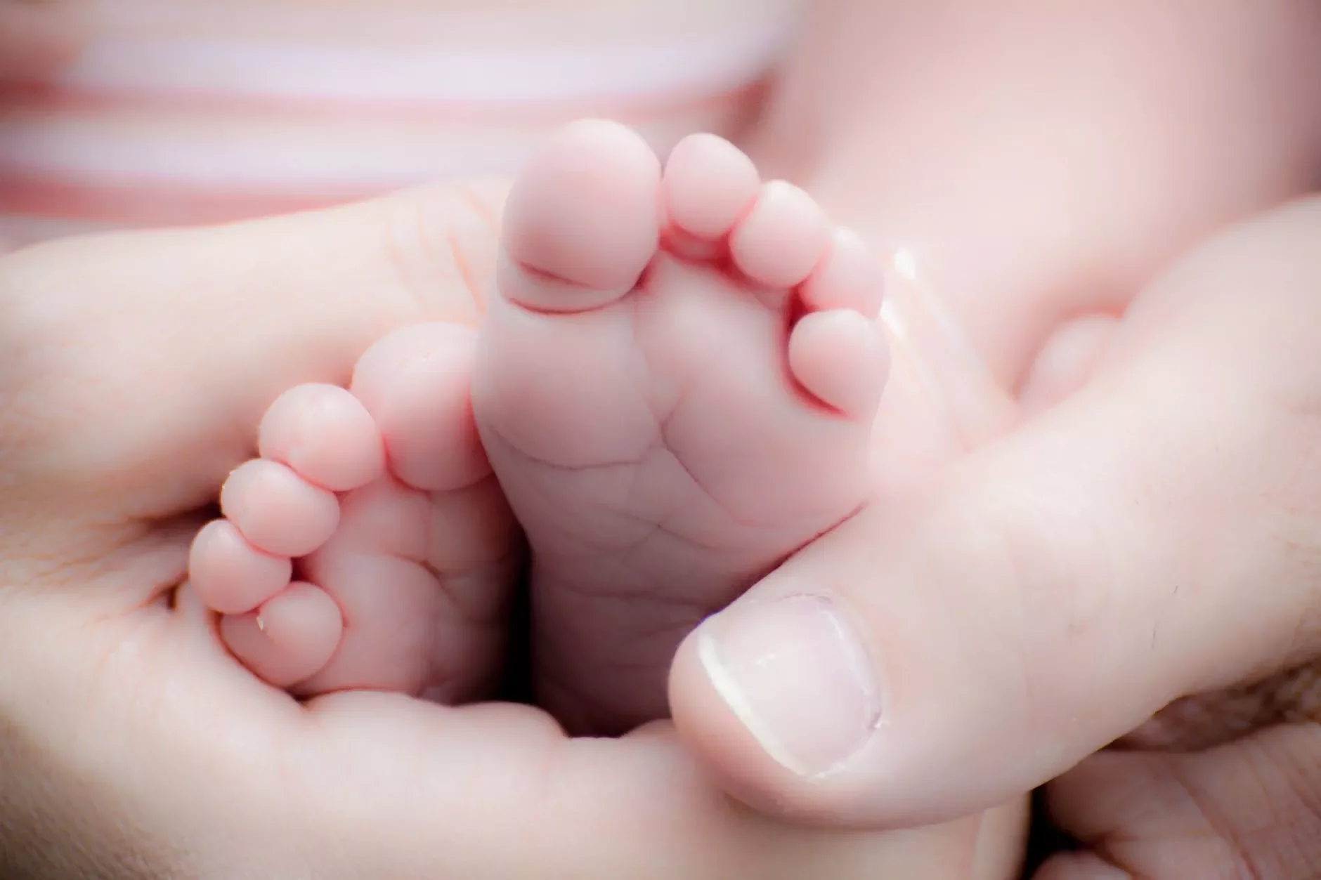 Pies pequeños de bebé sostenidos por manos adultas.